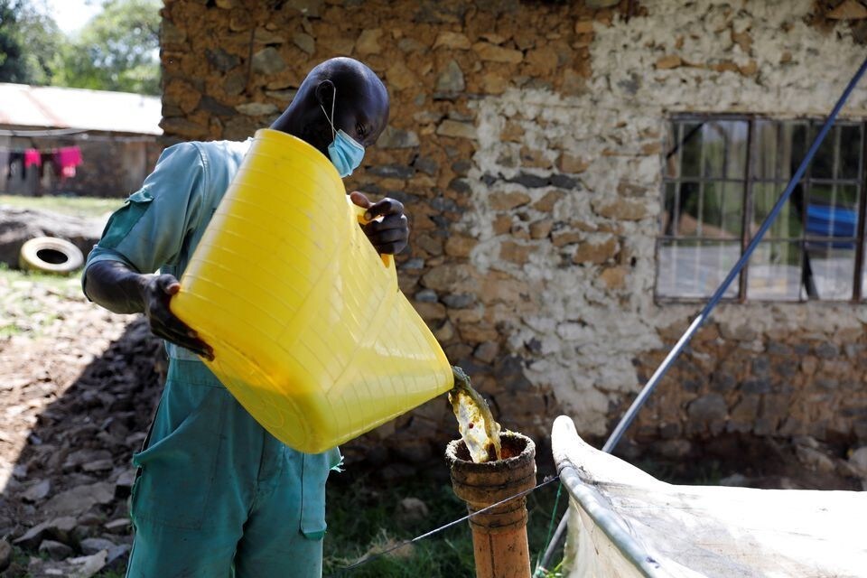 Biogas potential untapped despite promise for green drive, rural development - study