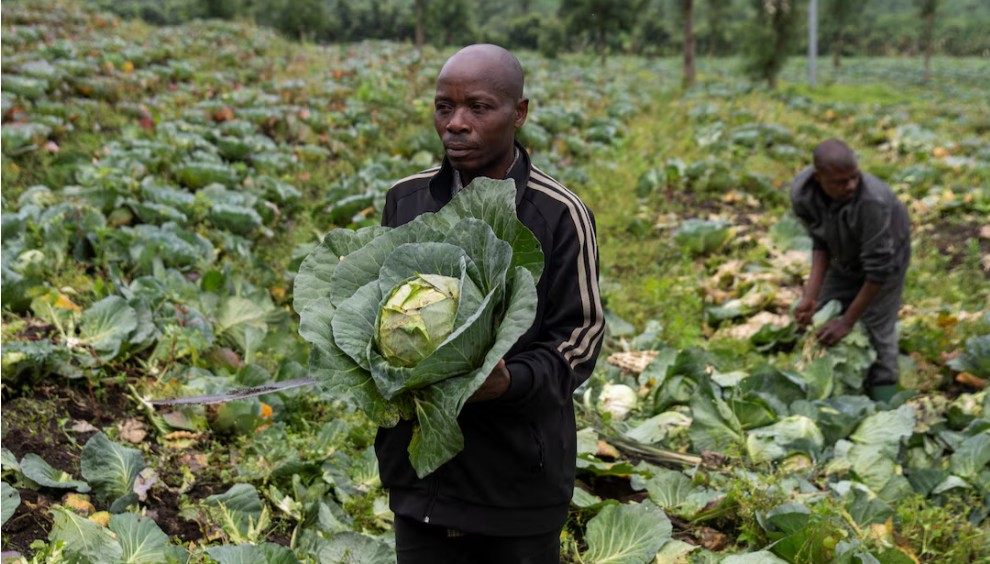 Returning farmers face land disputes, hardship in rebel-held eastern DR Congo