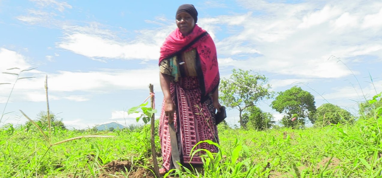 From despair to renewal: Kwale farmers restore degraded land through tree regeneration