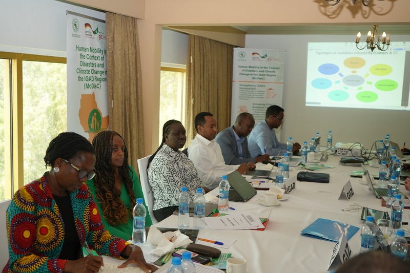 IGAD raises alarm over rising migration and urban strain in the Horn of Africa
