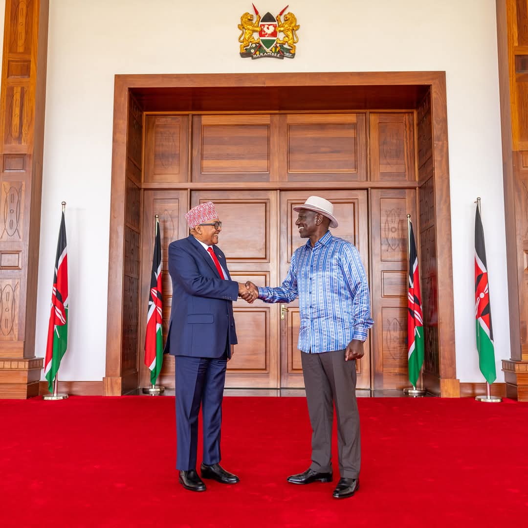Presidents Abdirahman, Ruto meet at State House for trade, security and youth empowerment talks