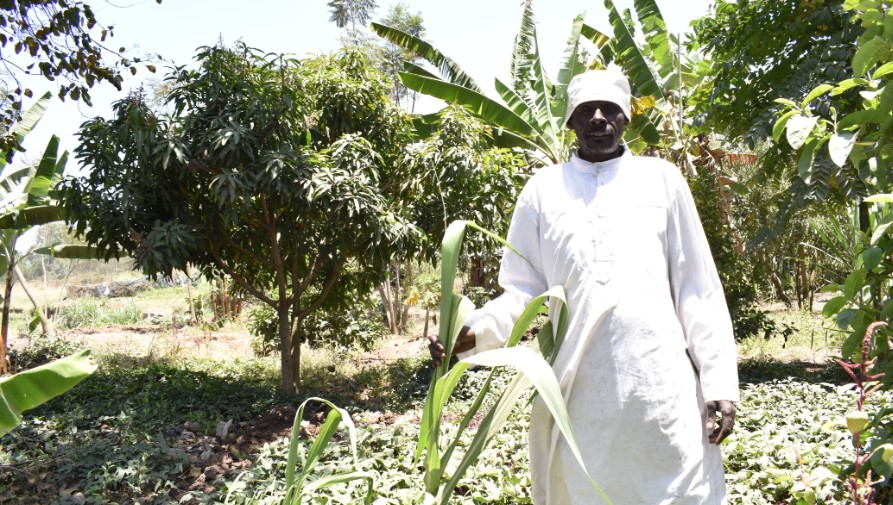 Moses Kivevu: Farming hero feeding Kiambiu slum against all odds
