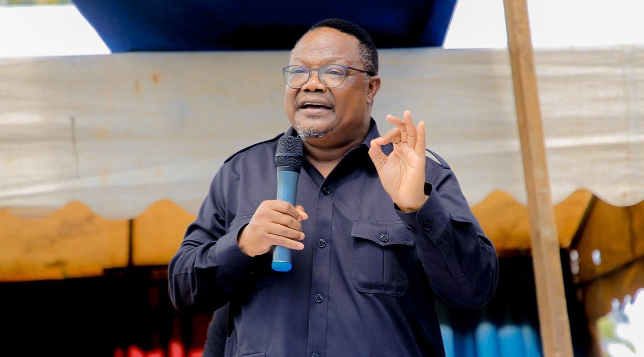 Tanzania nullifies Chadema leadership appointments, citing quorum violation