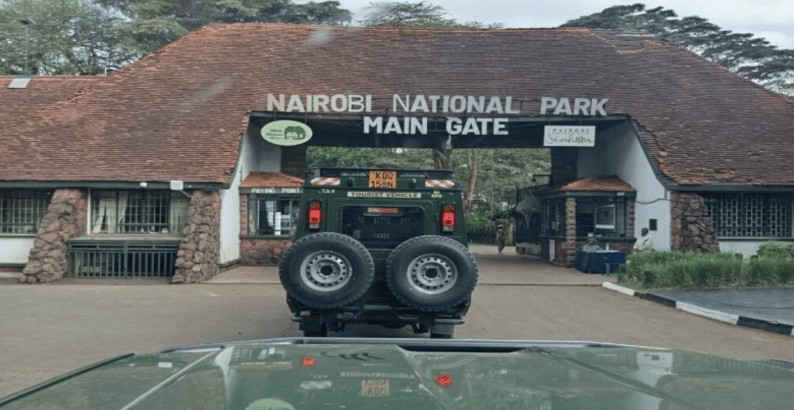 KWS apologises over long queues at Nairobi Park after viral video exposes chaotic entry system