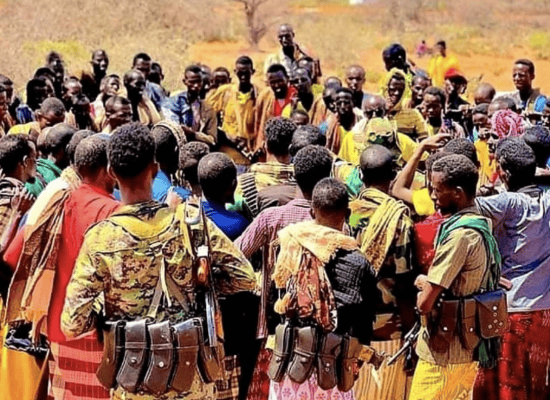 12 killed as drone strike accidentally hits Somali militia fighting Al-Shabaab