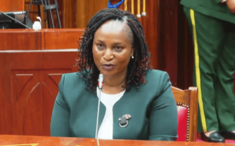 Watch: Nominated IEBC commissioner Anne Nderitu faces vetting panel 