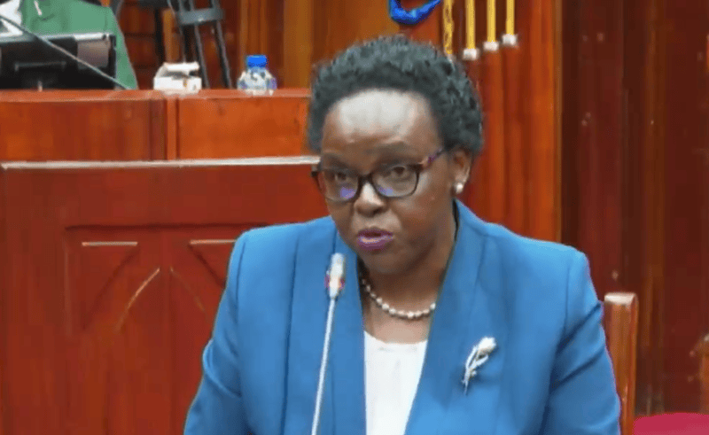 Watch: Nominated IEBC commissioner Mary Sorobit faces vetting panel