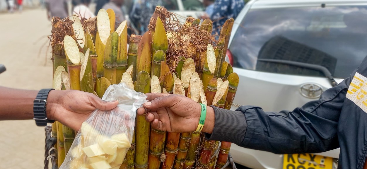 Plastic bag ban widely ignored as Kenyan traders cite cost, convenience challenges