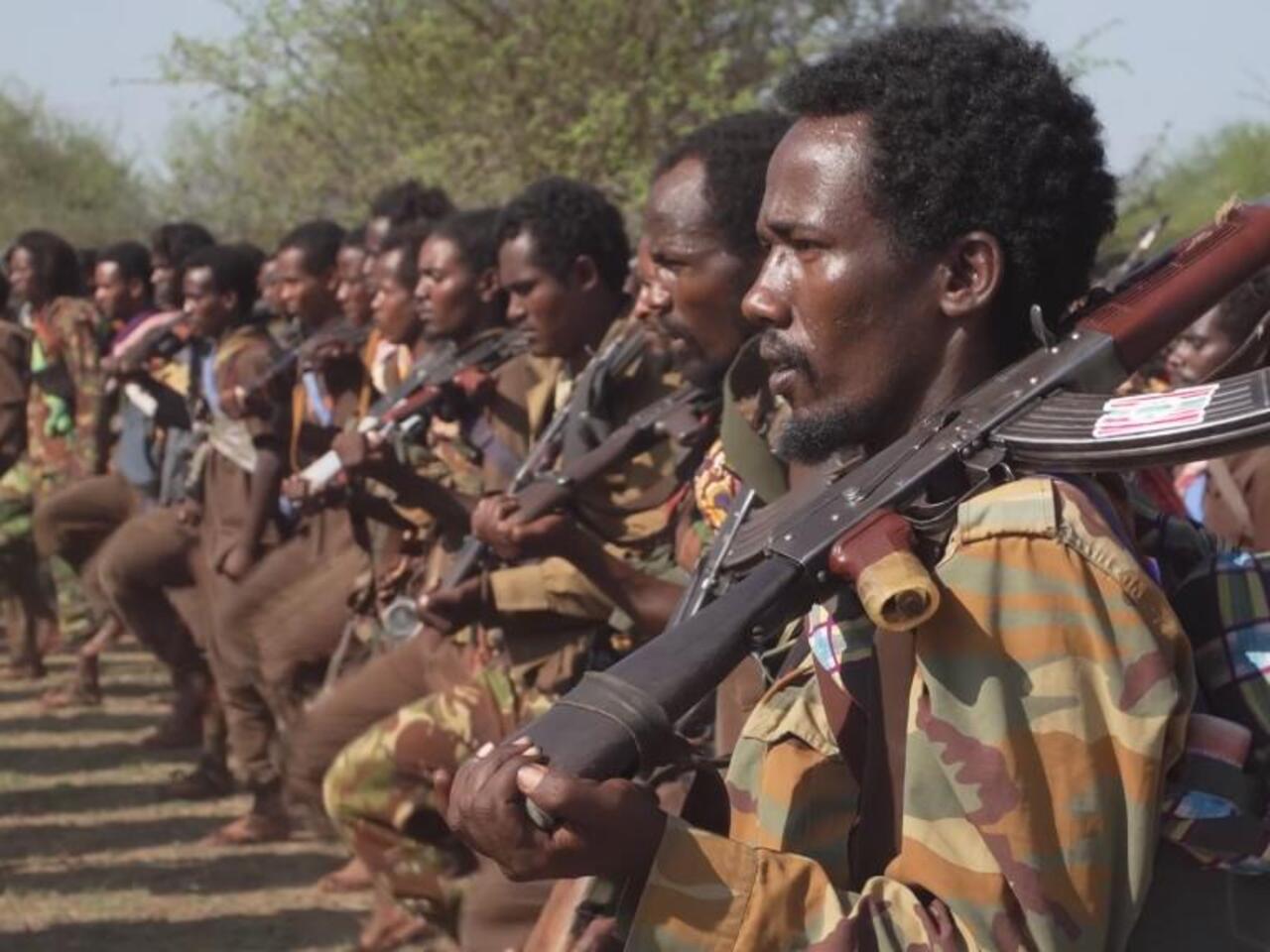 NIS Chief Noordin Haji admits Oromo Liberation Army occupying Kenyan territory