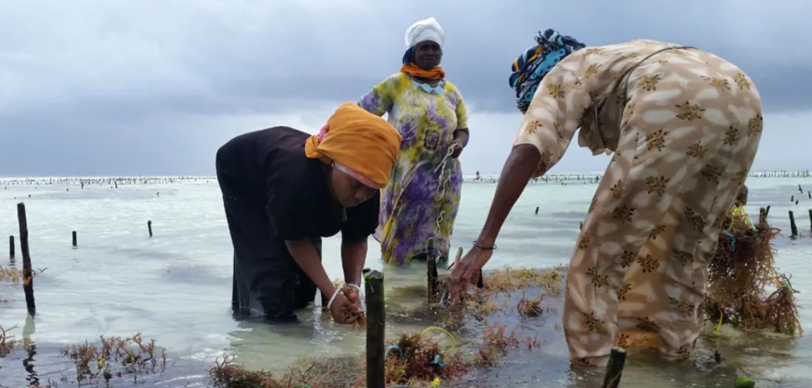 African islands under threat: What to do about Trump’s withdrawal from climate change agreement