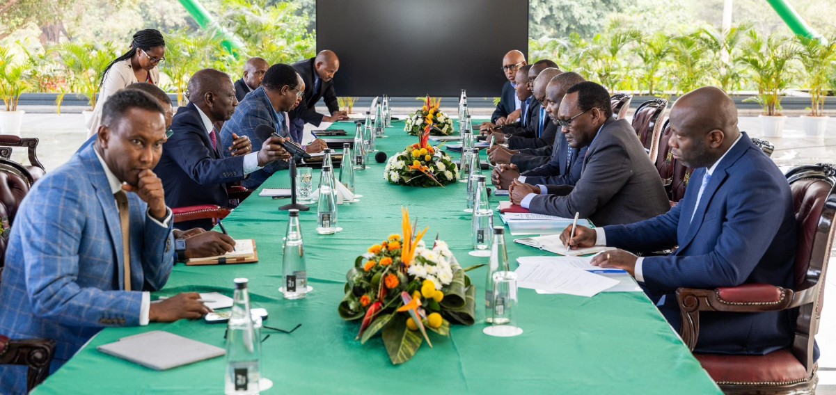 Katiba Institute sues President Ruto over 'unconstitutional' creation of advisory posts