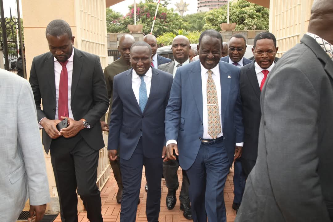 Raila backs stronger Senate with distinct powers amid House supremacy battles