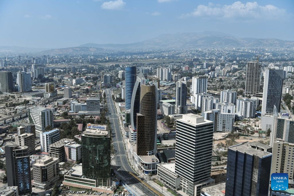 Civic group condemns Addis Ababa’s exclusion from 2025/26 Federal Budget subsidies