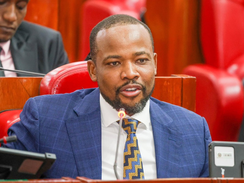 Land wrangles behind Ang'ata Barikoi violence, PS Nixon Korir tells MPs