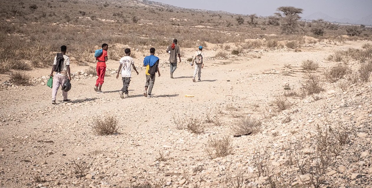 More Ethiopians than Somalis migrating irregularly to Kenya, IOM report reveals