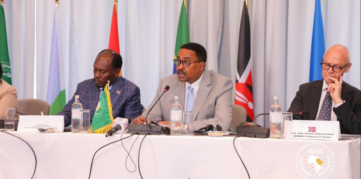 IGAD calls for unified cybersecurity and AI strategy to tackle regional security challenges