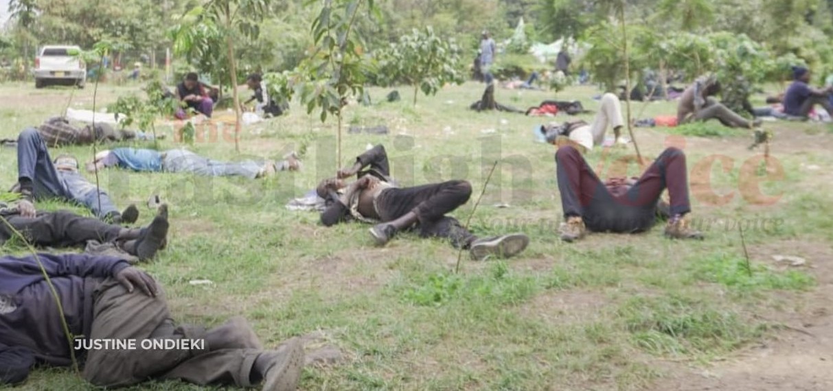 Silent struggles: Kenyan men speak out on financial pressure, mental health, and masculinity