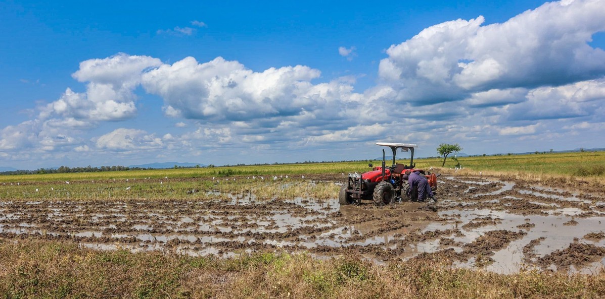 High interest rates, collateral gaps still hindering farmers' access to credit – CBK survey