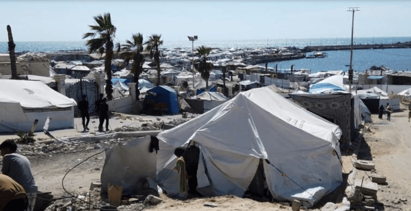 Helpless in the face of hunger: Gaza families pray for deliverance – or death