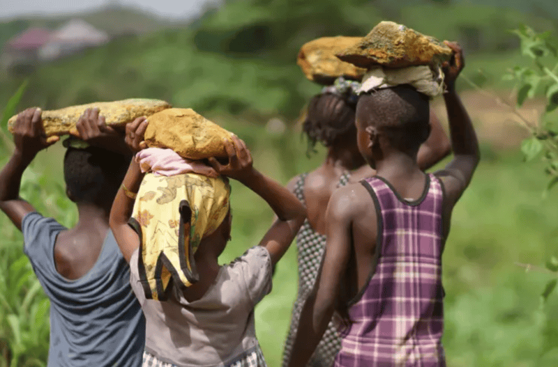 UN Report: 54 million children still trapped in forced labour in 2024