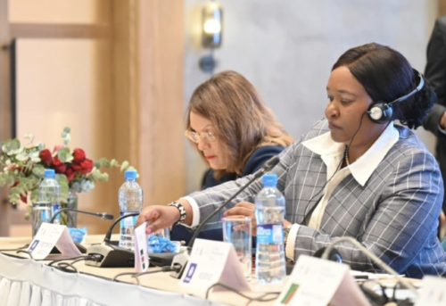 Kenya elected to UN Tourism Executive Council