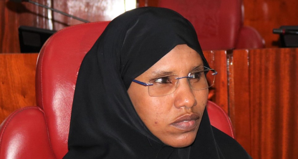 ‘The silence must end': Women senators lead bold campaign against GBV in Mandera
