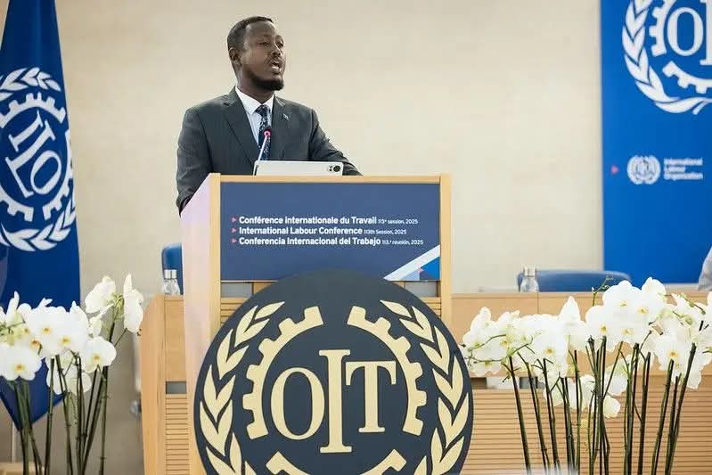 Somali delegates not seeking asylum in Switzerland, minister asserts after ILO conference