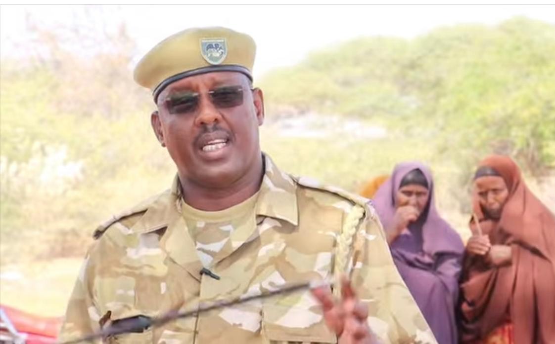 Wajir celebrates International Giraffe Day as locals laud conservation efforts