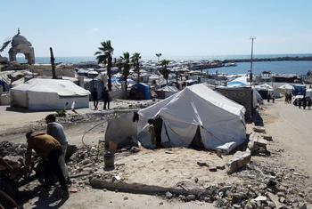More Gazans killed trying to get food, healthcare near to ‘full disaster’ - Israeli military's evacuation orders apply to 80 per cent of Gaza, leaving many of the enclave's people displaced. (UN News)