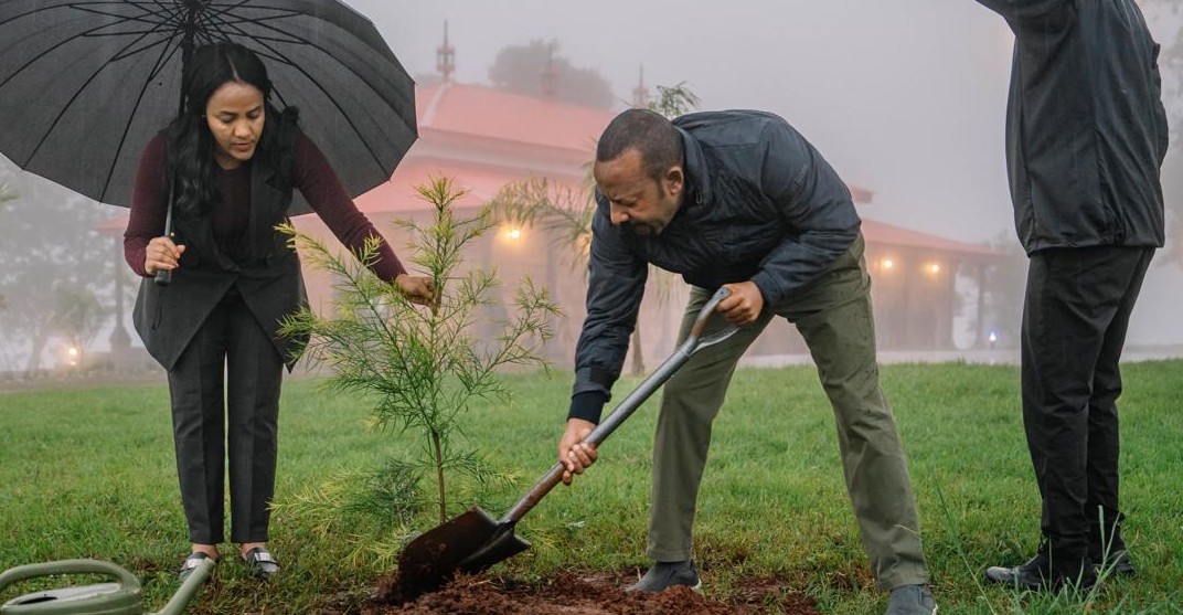 Ethiopia mobilises millions to plant 700 million trees in a day under Green Legacy Initiative
