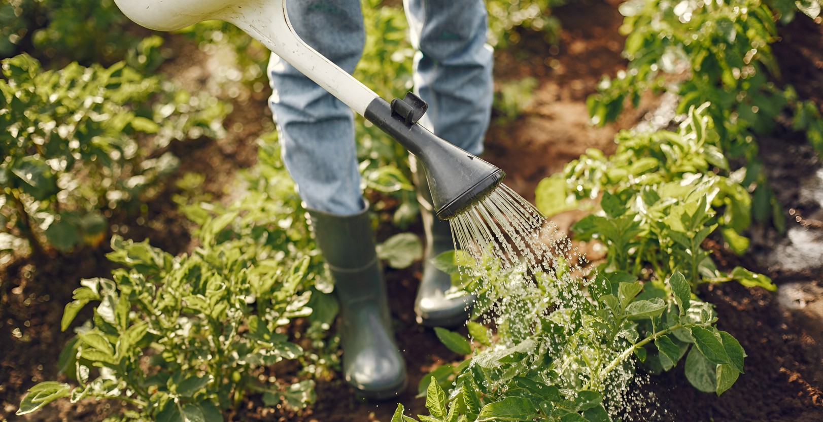 From hobby to lifeline: How gardening is becoming a path to food security and resilience