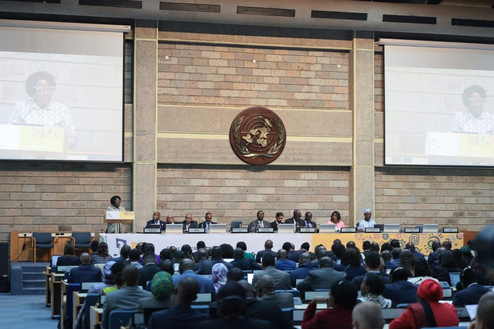 Food security in Africa at risk without increased agriculture budgets, ministers warn