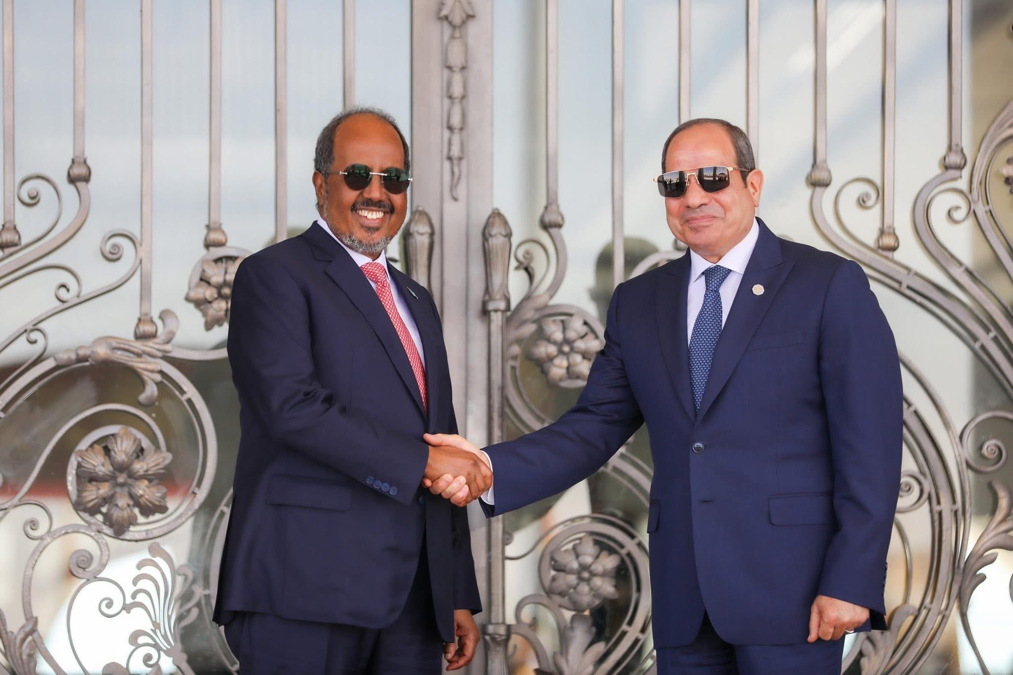 Somali, Egyptian leaders meet in Cairo amid tensions over Ethiopia’s dam