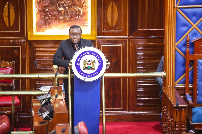Counties blamed for garbage crisis as CS Barasa cites rampant defiance