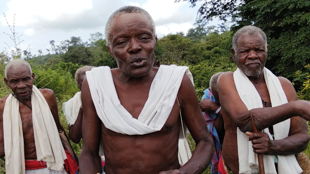 Rabai elders cry foul over attempts to seize sacred Kaya forest land