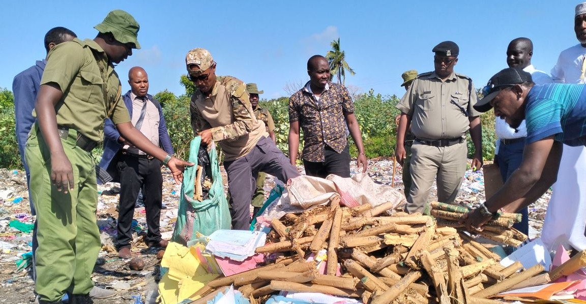How criminal networks use Kenya, South Africa and Tanzania as hubs for global smuggling