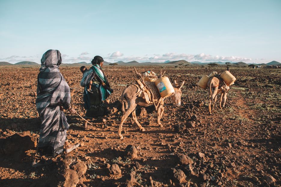"Cracked earth, broken dreams": Life on the frontline of Northern Kenya’s climate crisis