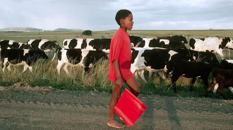 Child labour numbers rise in homes where adults are jobless – South African study