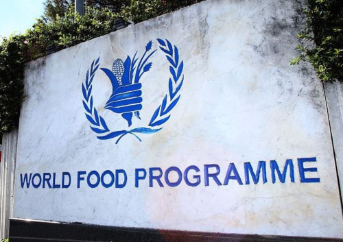 WFP to halt humanitarian aid in Northeast Nigeria, leaving 1.3 million at risk