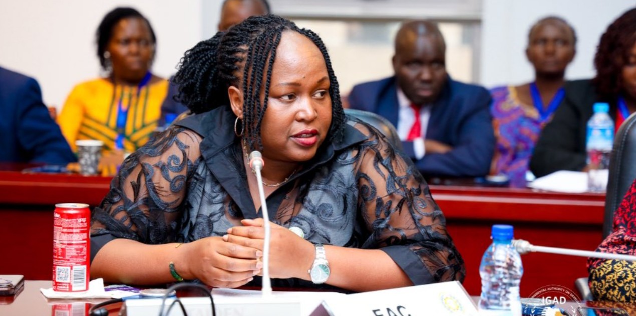 AU mid-year summit in Malabo renews push for regional integration amid lingering divisions
