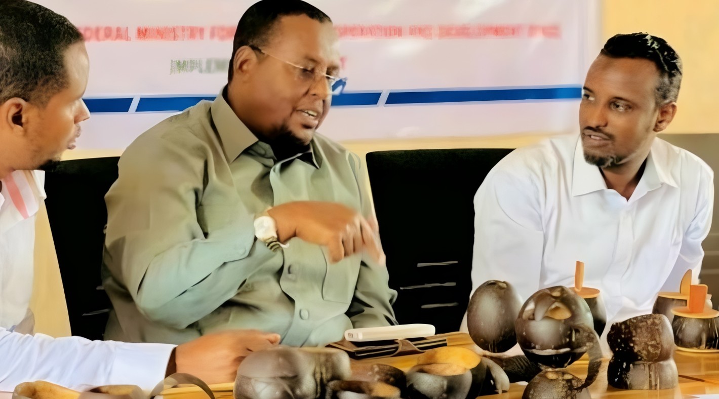 From displacement to dignity: Somali IDPs turn coconut waste into livelihoods