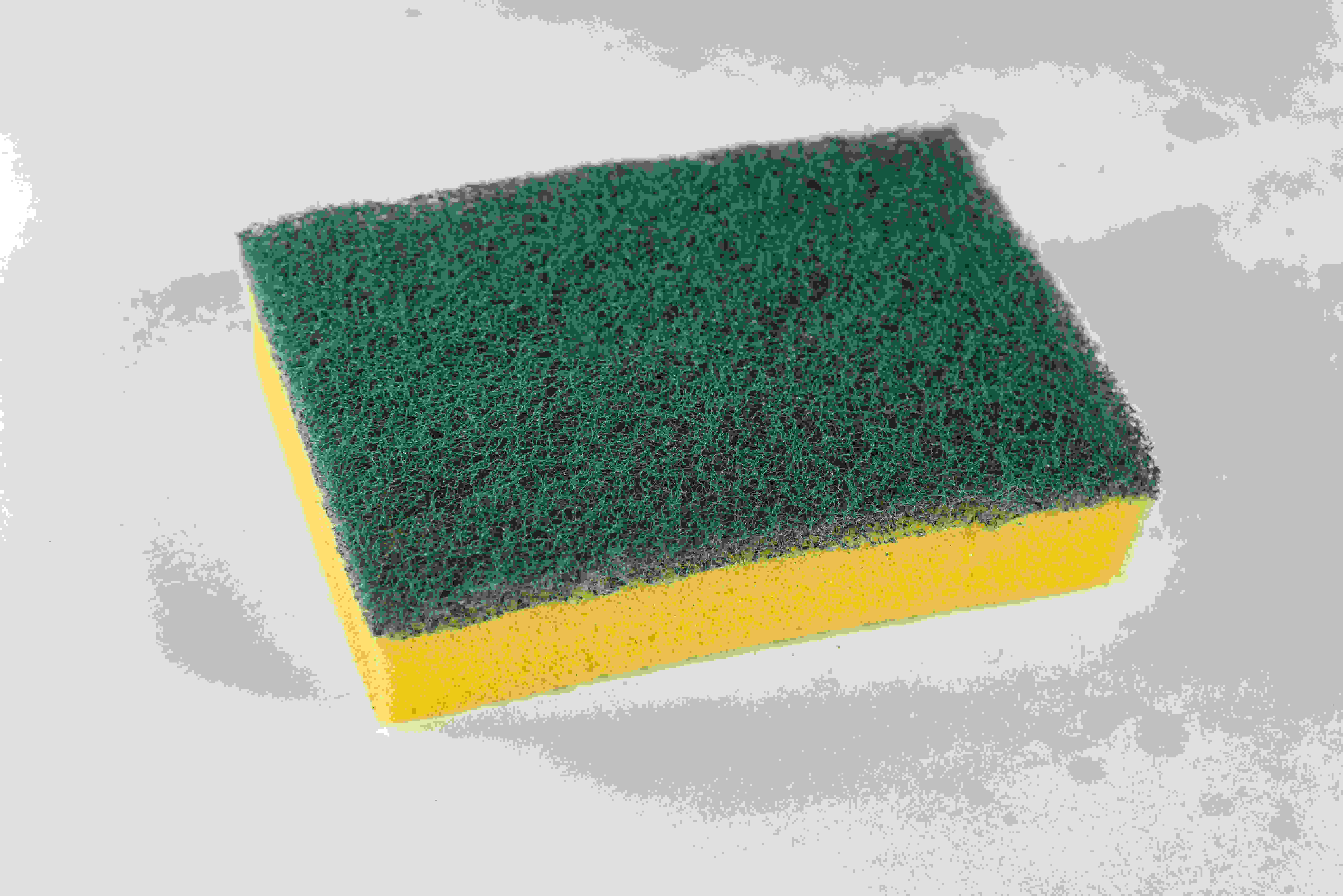 Why your kitchen sponge could be dirtier than your toilet seat