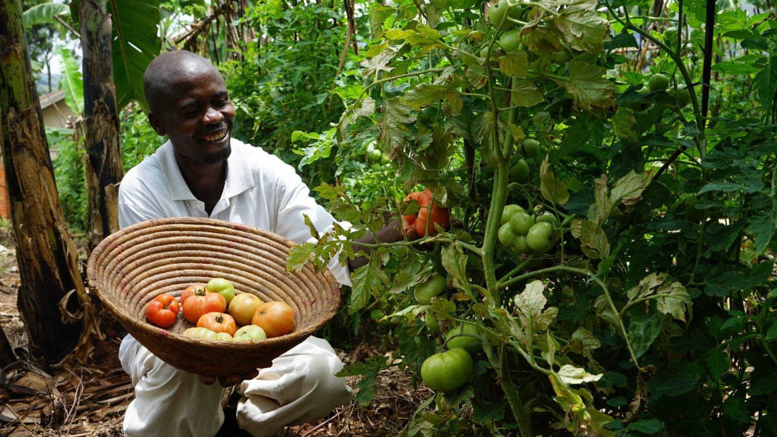 Over 9,000 new pest species threaten Uganda’s food security, study warns