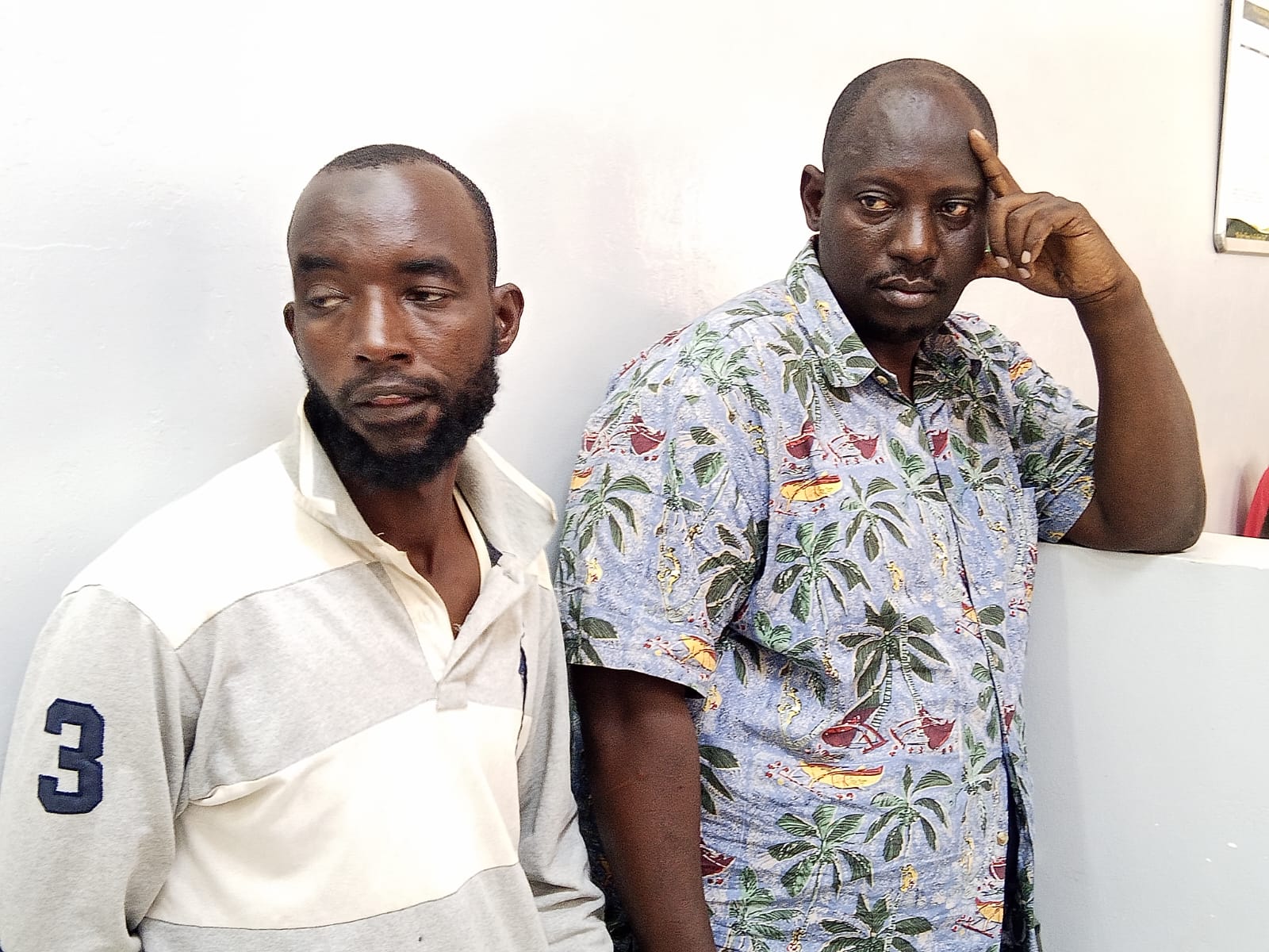 Two Burundian nationals charged over Sh12 million ivory haul in Mombasa