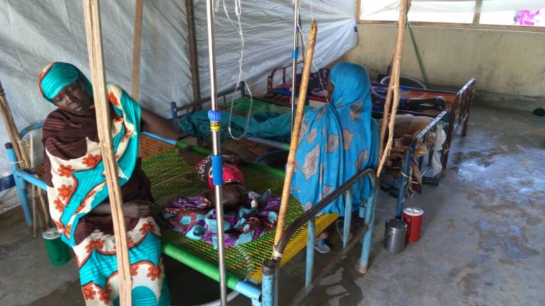 Sudan Cholera outbreak kills 80, infects over 2,100 in Darfur states