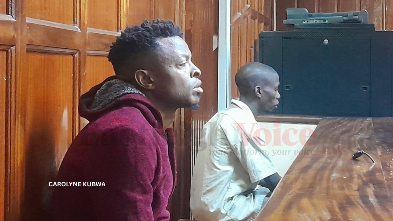DPP recalls police file in Ringtone's Sh50 million land fraud case for review