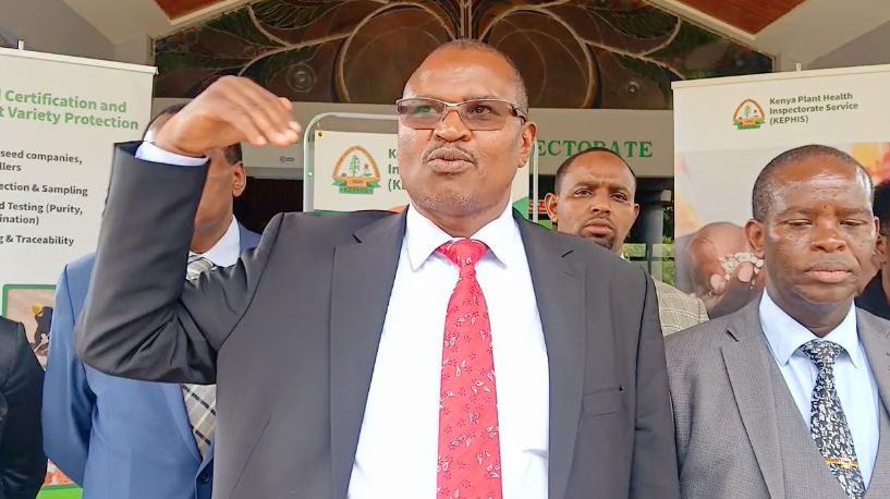 KEPHIS warns proposed seed law could threaten food security, hurt farmers