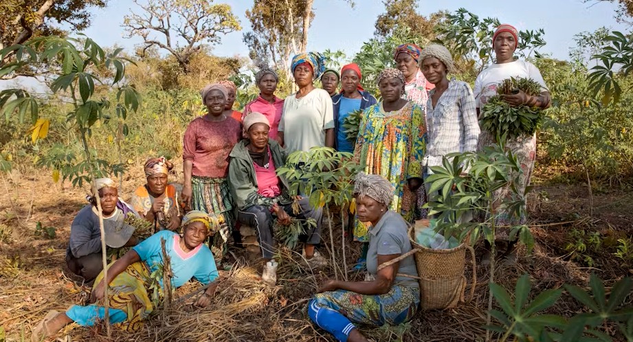 33 million women grow food on plots in Sub-Saharan Africa: Greener farming can boost their earnings – Study