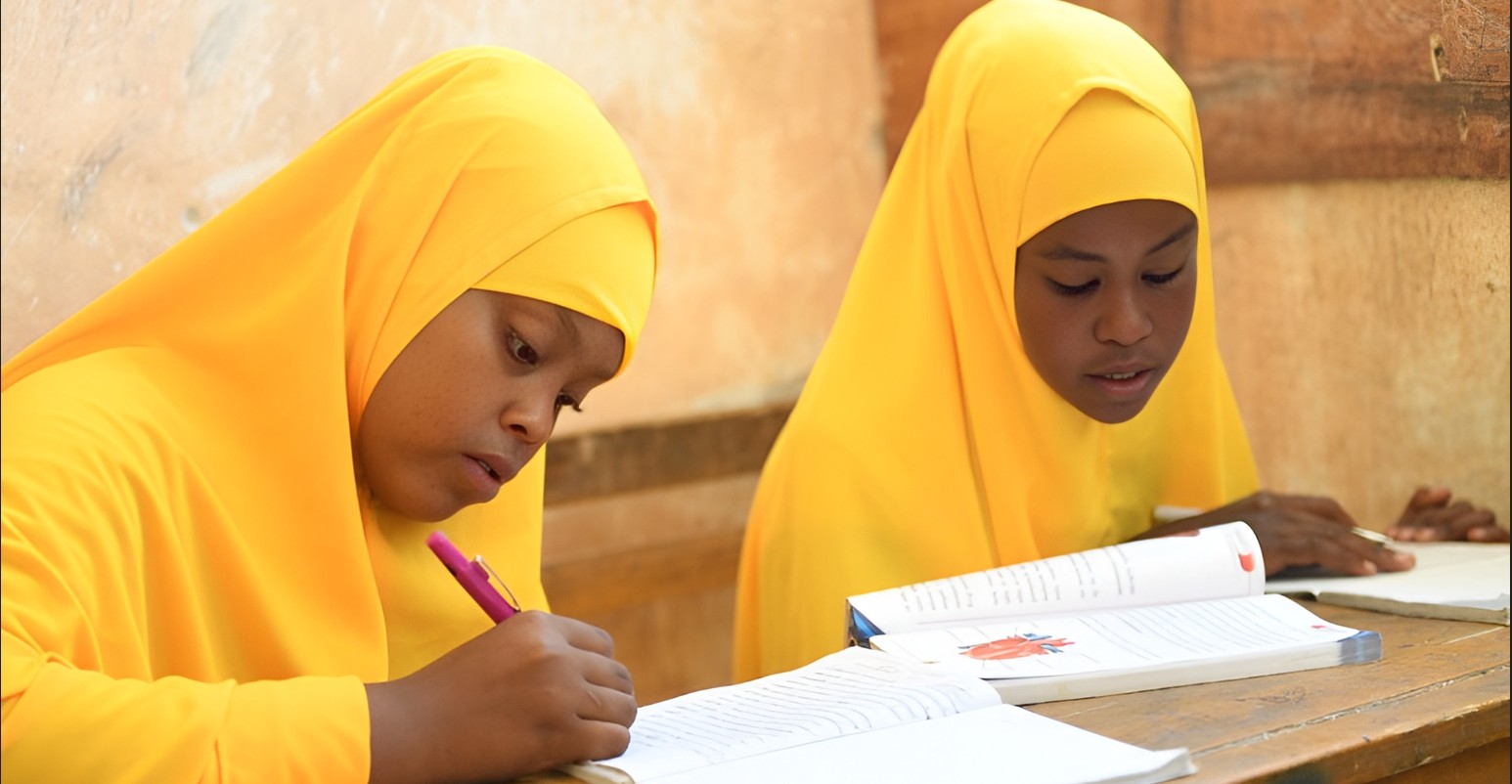Somalia’s education crisis: Why so few children attend school and what could be done to change that