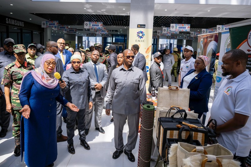 Tanzanian president launches Chinese-built commercial, logistics hub